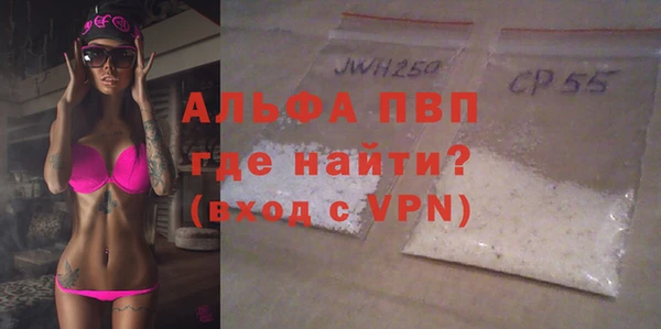 шишки Бородино