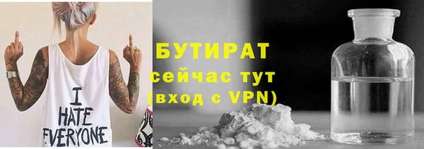шишки Бородино
