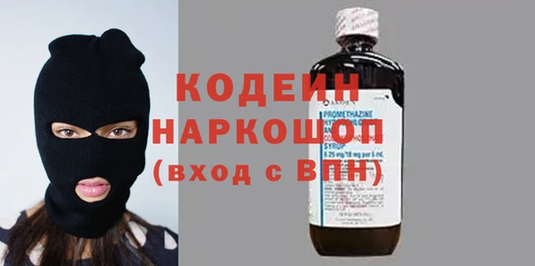 шишки Верея