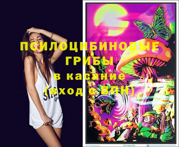 мдпв Верхний Тагил
