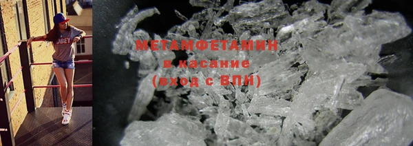 шишки Бородино