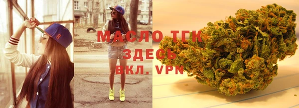 шишки Бородино