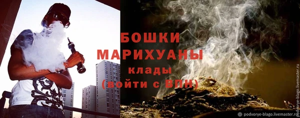 шишки Верея