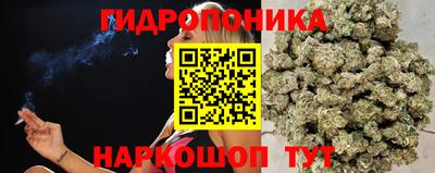 гашиш Тверь