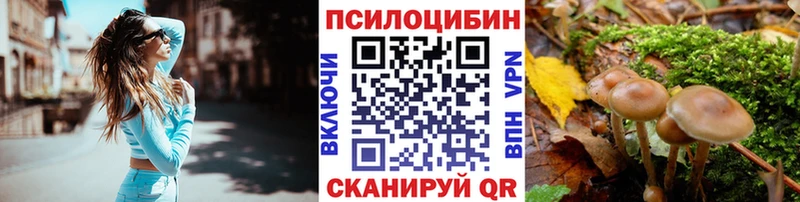 купить закладку ссылка на мегу как зайти Псилоцибиновые грибы GOLDEN TEACHER Наро-Фоминск